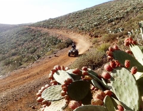 raid quad buggy maroc atlantique raid07