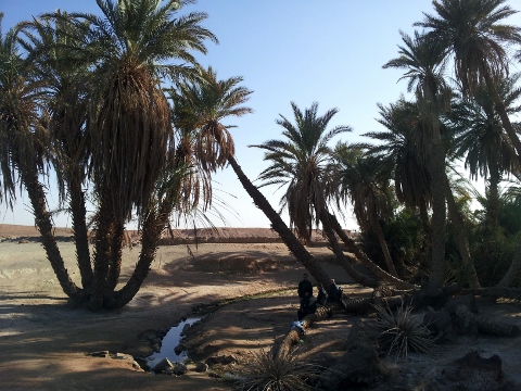 raid quad buggy moto maroc berbere07