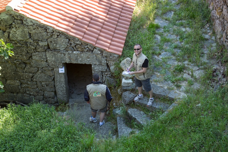 incentive portugal rallye 2CV14