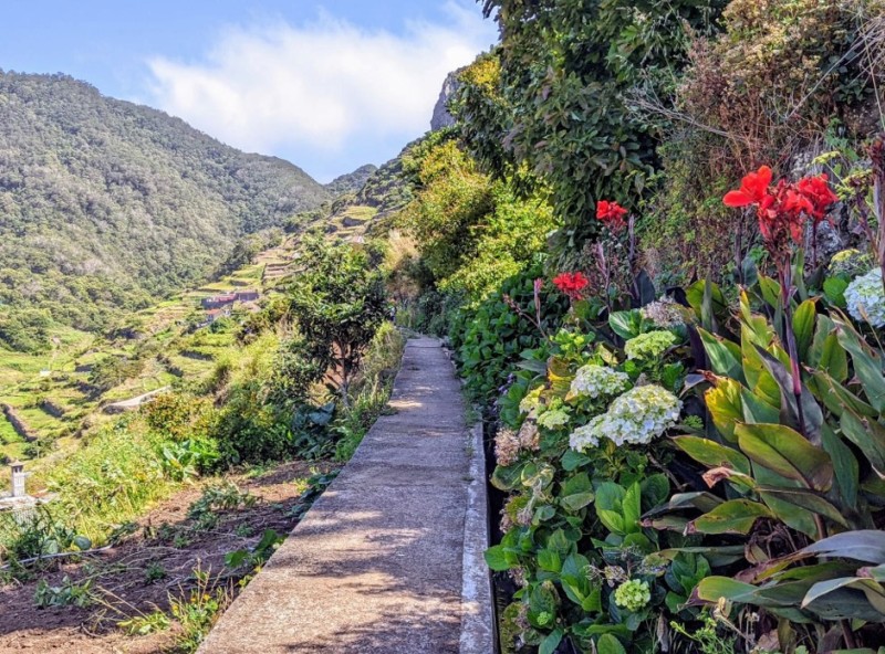 incentive seminaire madere09