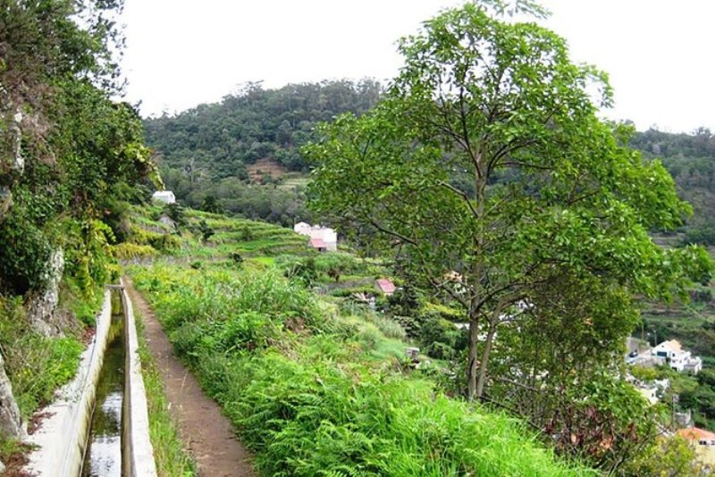 incentive seminaire madere12