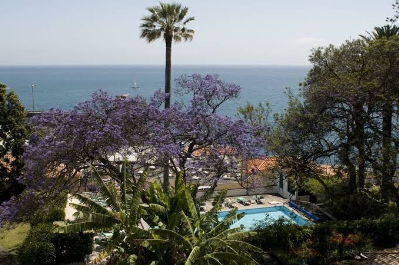 incentive seminaire madere15