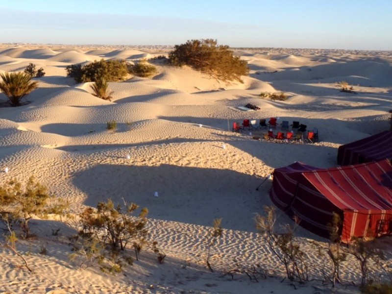 raid quad et buggy tunisie du 7 au 12 novembre 251