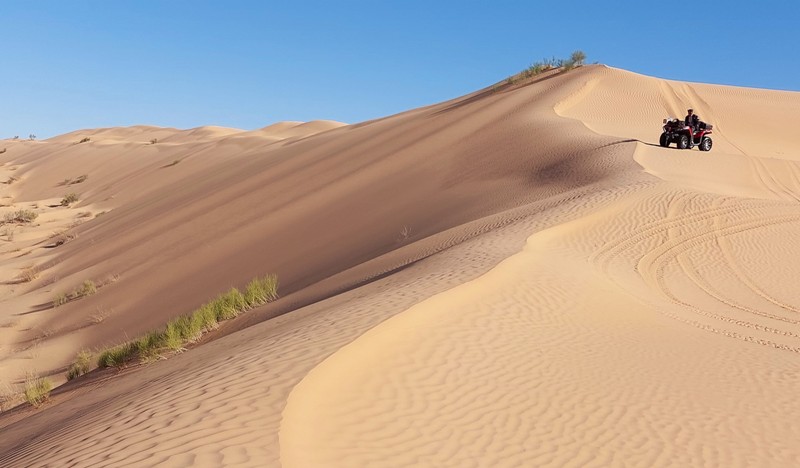 raid quad et buggy tunisie du 7 au 12 novembre 256