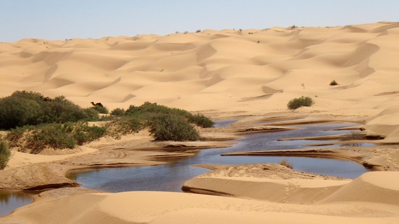 Raid Quad et Buggy Tunisie du 7 au 12 Novembre 25